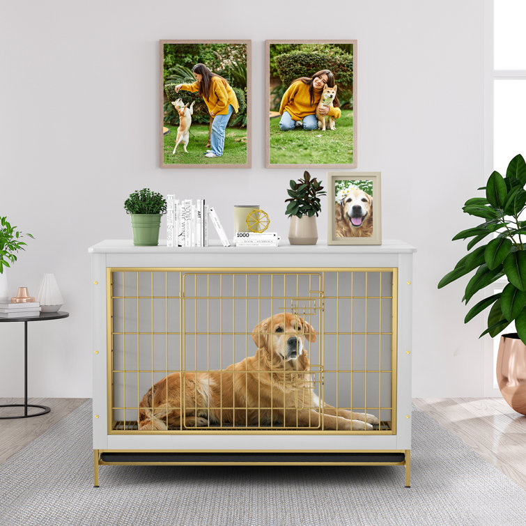 Double kennel cheap